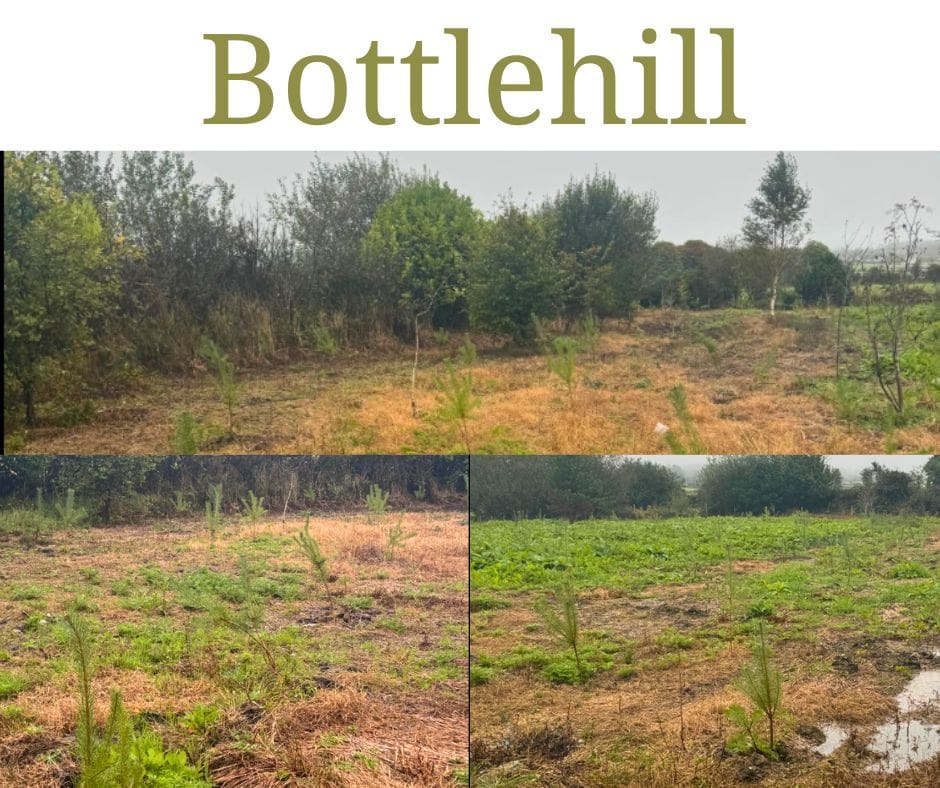 Bottlehill